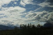54 - Jasper to Sun Peaks - IMG_1299